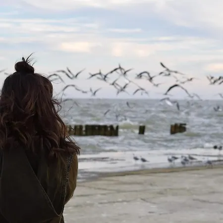 Gilde-residenz App. 4 아파트 그로미츠