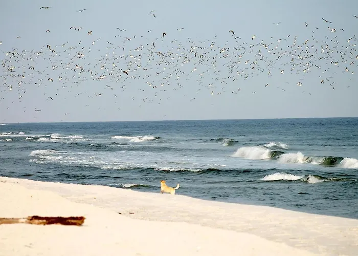 Gilde-residenz App. 4 * Grömitz